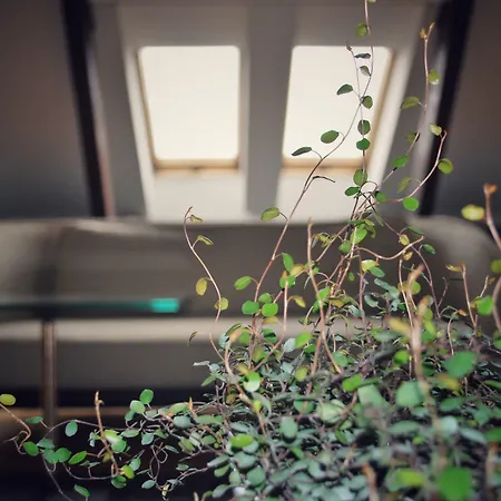 Hotell Pod Roza Kraków