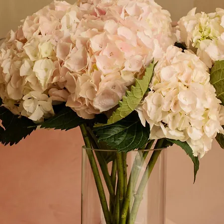 Hotel Pod Roza