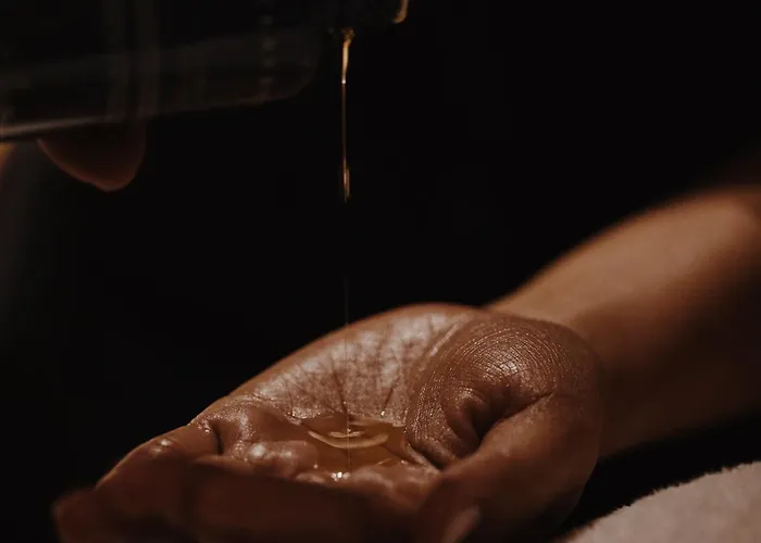 Pod Roza Hotel Cracovia