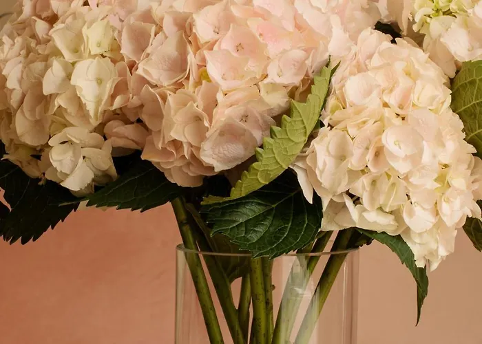 Ξενοδοχείο Pod Roza