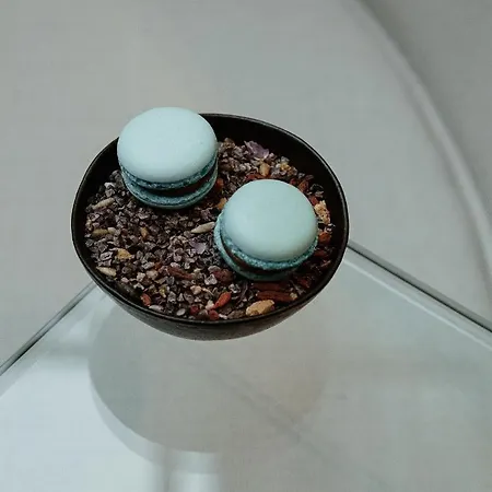 ホテル ポッド ロザ 5*