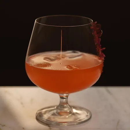 酒店 罗萨博得酒店 克拉科夫
