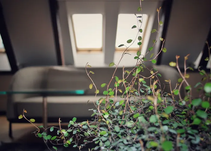 Hotel Pod Roza Krakow